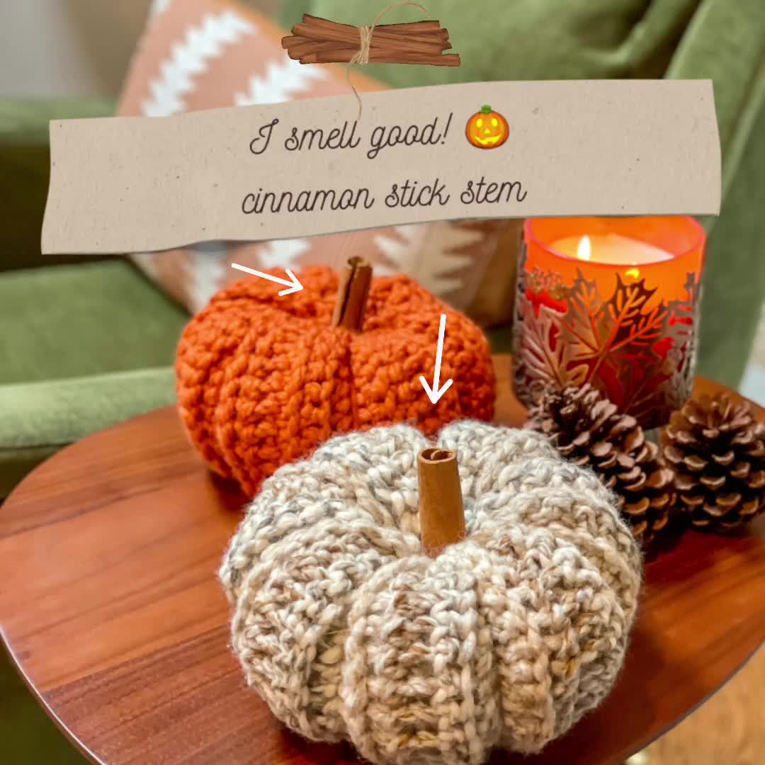 3 Piece Set orders Crocheted Pumpkins with Cinnamon Stick Stems