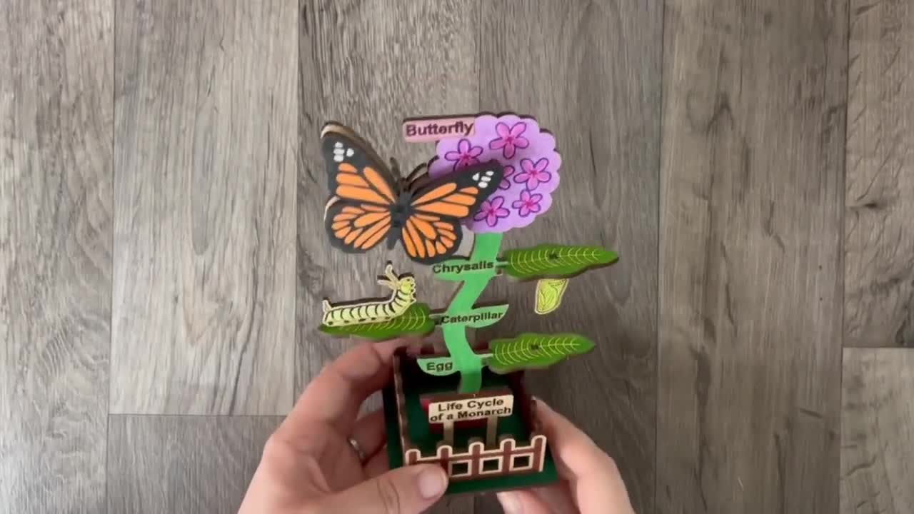 Monarch Butterfly Paint Kit + Video Tutorial