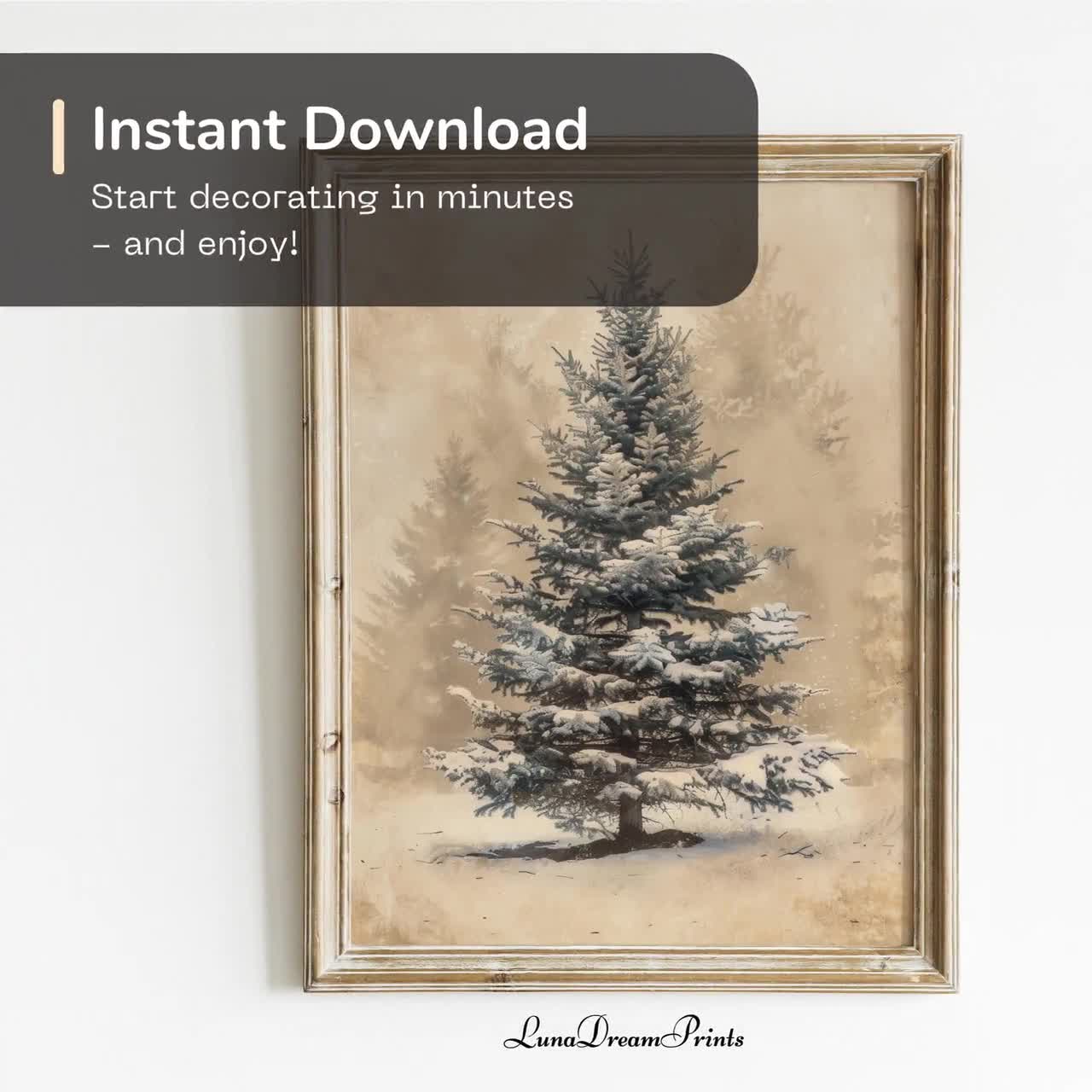 LANCHI95 Set Di 6 Stampe Artistiche Con Alberi Di Pino, Poster Botanici Vintage 20x25 Cm, Decorazione Natale Invernale Senza Cornice, Carta Opaca 300g/m² - 3