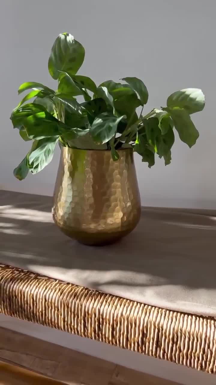 落ち着いたゴールドのハンマー仕上げメタル製植木鉢セット - イリデ