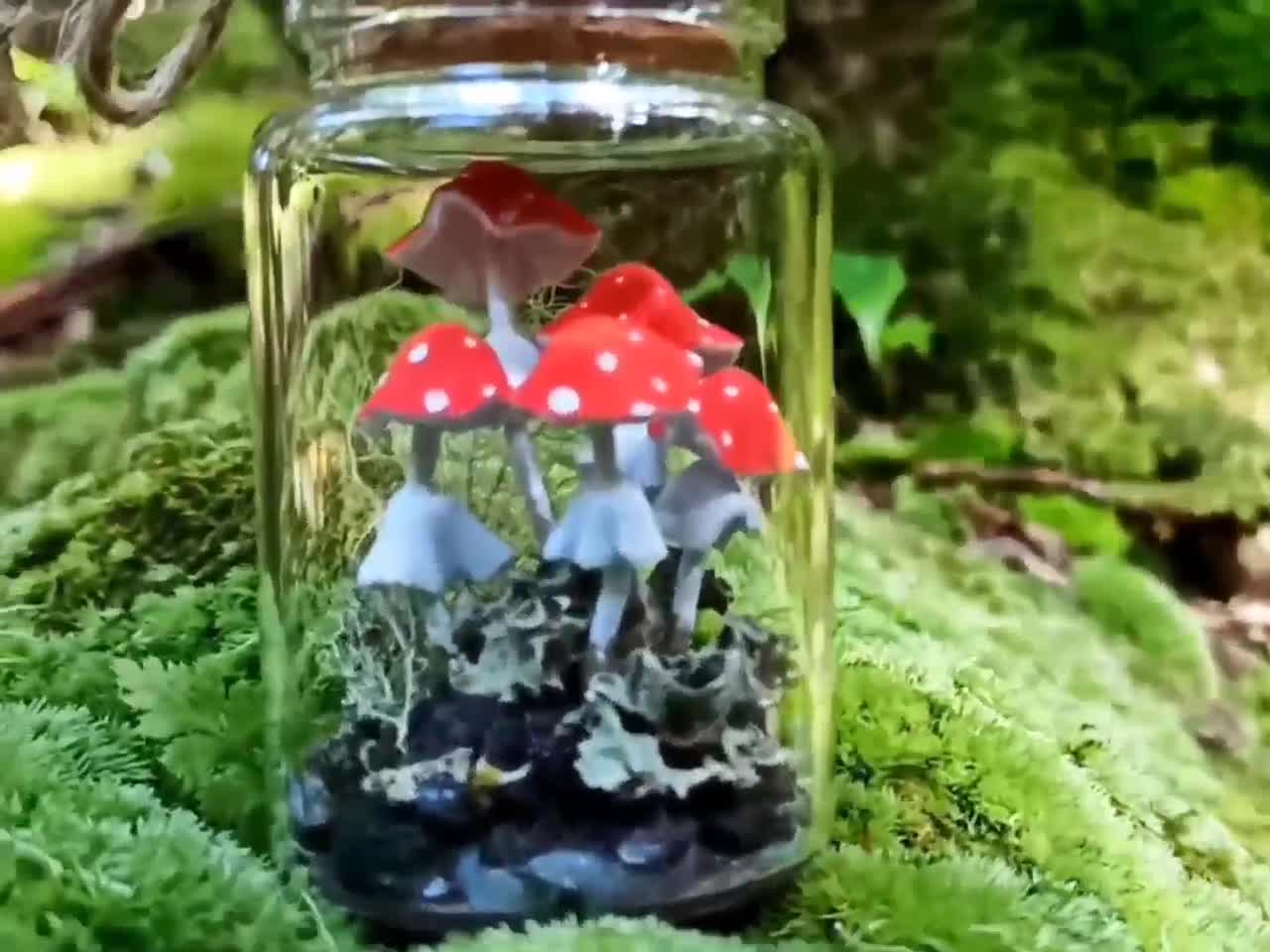 Mushroom Terrarium Jar, Mushroom Ornament Christmas, Fairy Terrarium. 