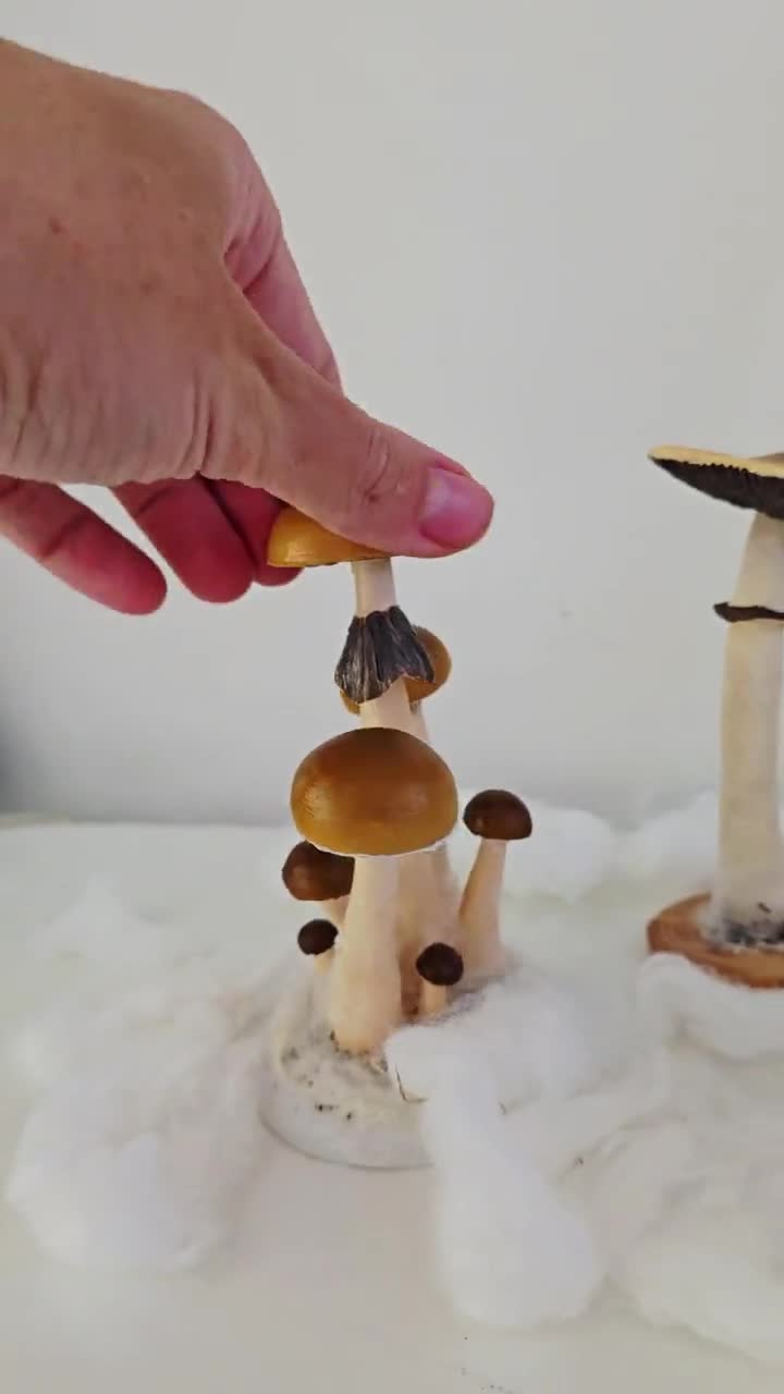 シロシベキノコ愛好家へのギフト マジックマッシュルームの置物