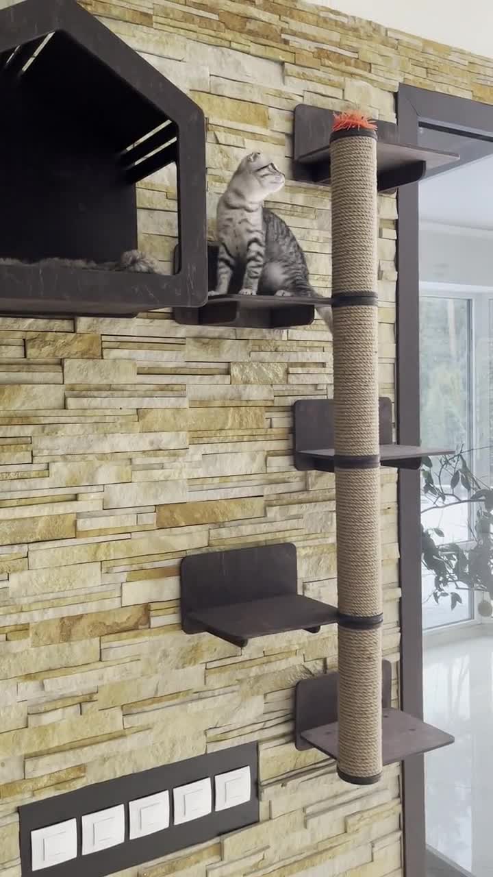 Muur kattenkrabpaal Kattenkrabboom Kattentoren Boom Houten krabpaal Wandmeubilair voor katten Krabpaal Van vloer tot plafond Krabpaal voor grote katten - België