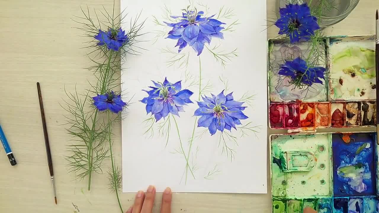 ニゲラの花のオリジナル水彩画：植物イラスト - Etsy 日本