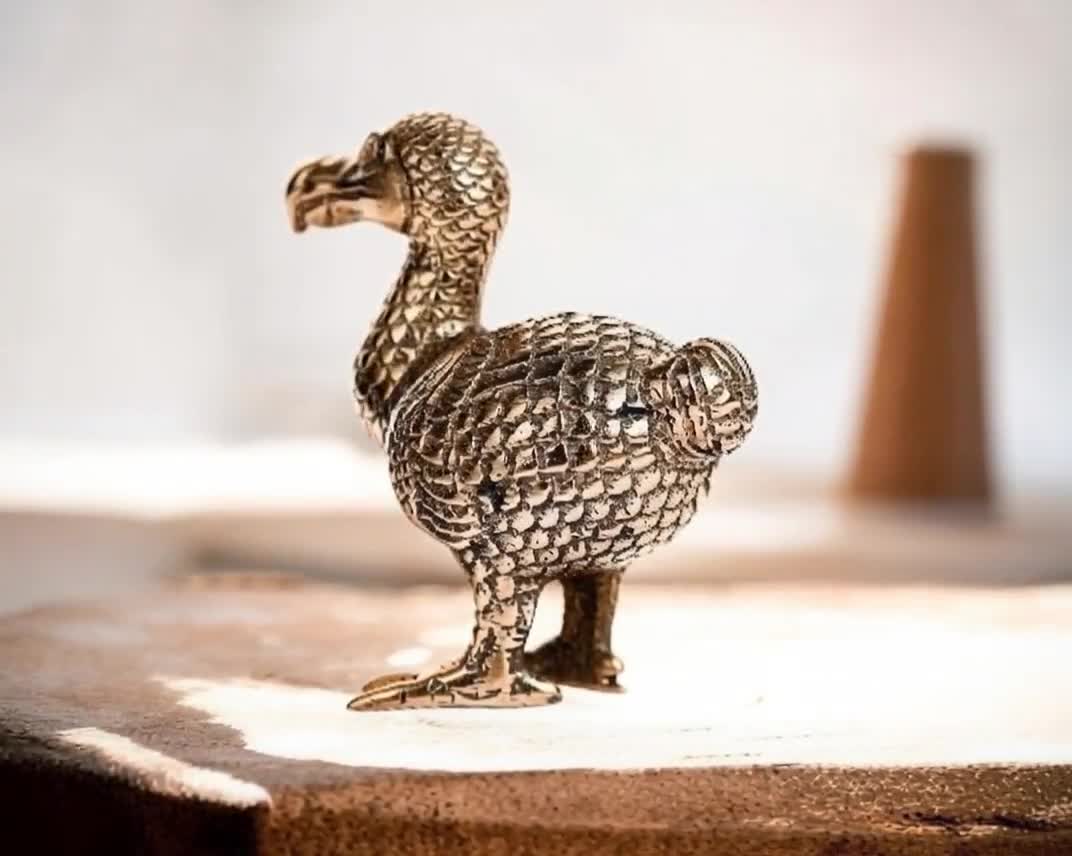 Dodo Bird Bronze 5.5 Inch / 14 Cm, Bronze Figurine, Housewarming