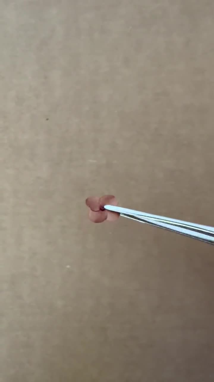 Hawaiian Star 25 Flowers video poster