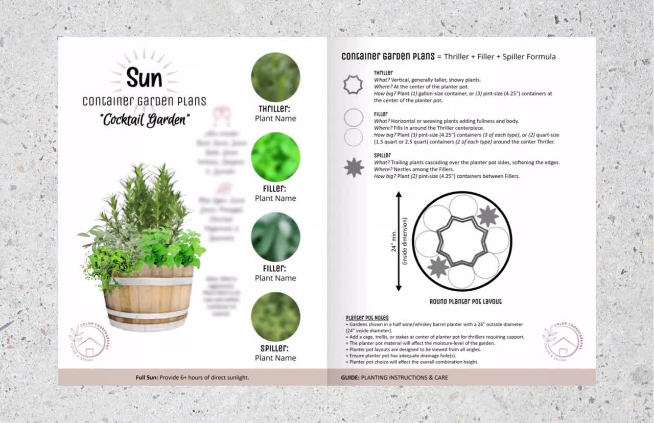Huerta En Contenedor Huerta Orgánica Plantas En Contenedores PNG ,dibujos  Verdura, Fruta, Huerto PNG Imagen para Descarga Gratuita | Pngtree, image size:1280x828