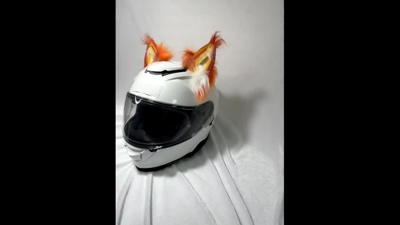 le shoei neotec 2 Shoei Neotec II Helmet White / Medium