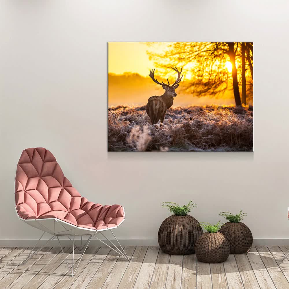  Deer LED Lighted Canvas Sunset Sunrise with Big Buck in Autumn  Forest Wildlife Wall Decoration Deer Décor : Home & Kitchen