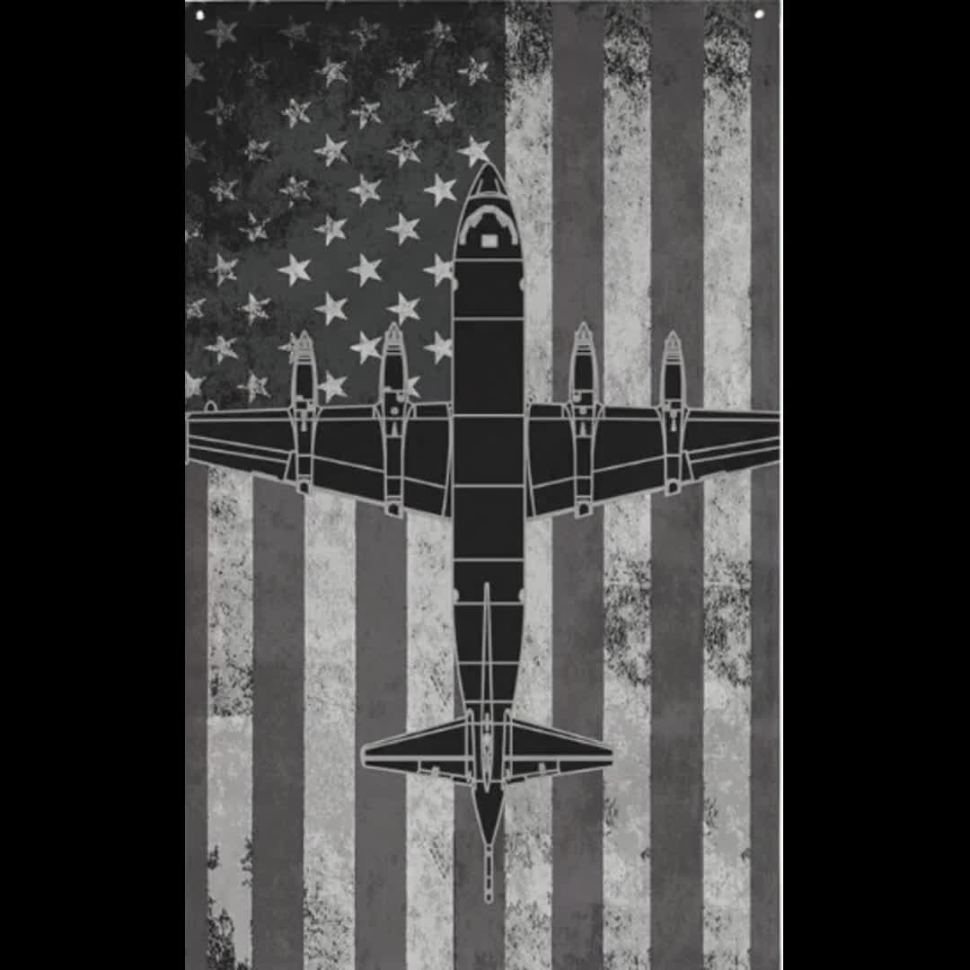 P-3 Orion Flag (Shadow) video poster
