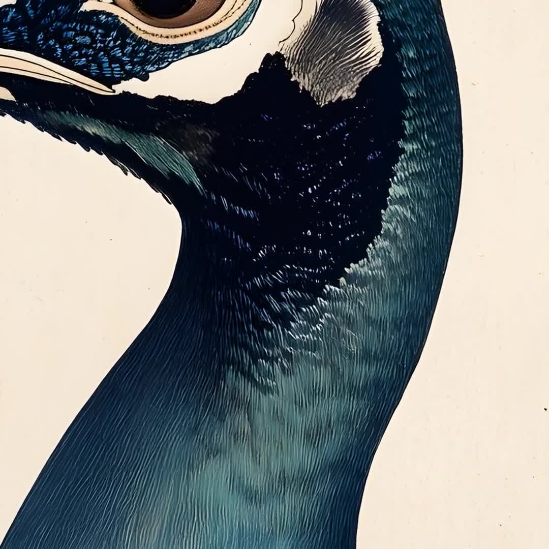 浮世絵「孔雀の肖像」：日本の水墨画（デジタルダウンロード） - Etsy 日本