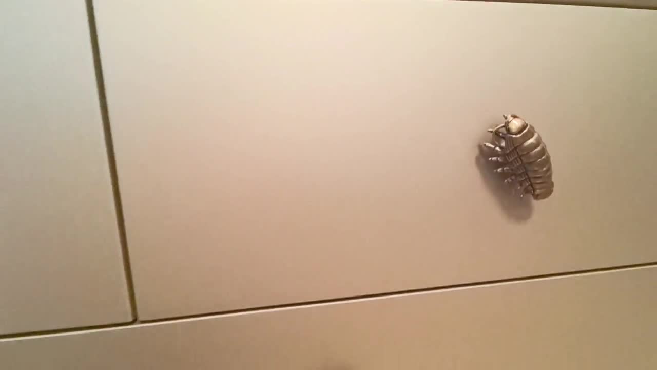 Brass Whale Knobs Solid Brass Pulls Knobs Cabinet decoration Handles Pull Knobs Antique bronze Drawer pulls Dresser knobs Furniture Hardware video poster