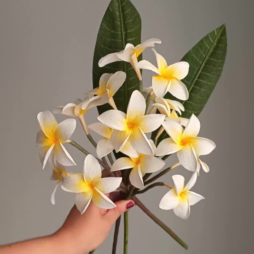 Petali di Fiori Artificiali di Frangipani Hawaiano in Schiuma Bianca, Ecologici, per Capelli, Cappelli, Ghirlande Fai-da-Te, Natale, Capodanno, Halloween