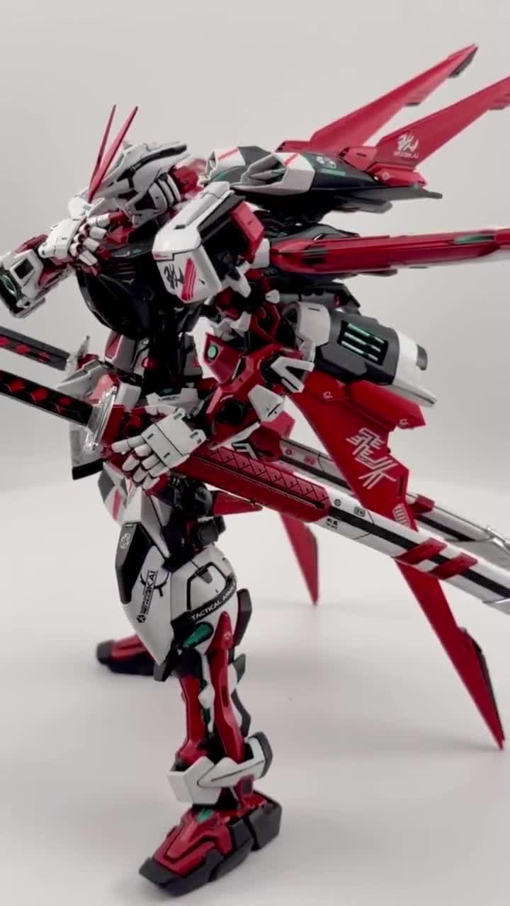 Bandai 1/100 MG Astray Red Frame Flight Unit - Custom Painted