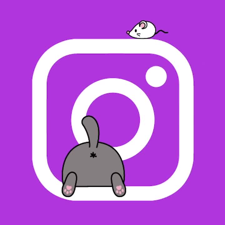 Cute Cats Purple Edition iPhone Icons Bundle