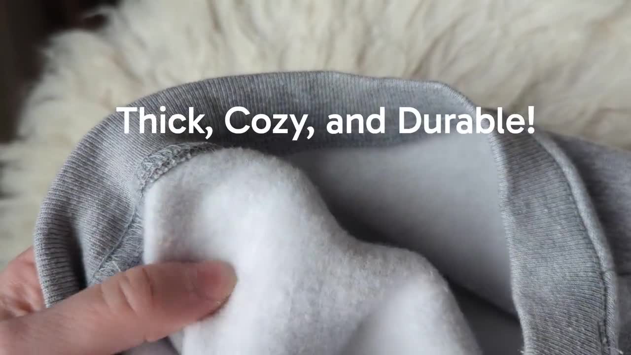 Funny Introvert Oversized Sweatshirt | Pro Indoors Heavyweight Crewneck | Minimalist Sweater | Cozy Homebody Gift | Aesthetic Text Hoodie video poster