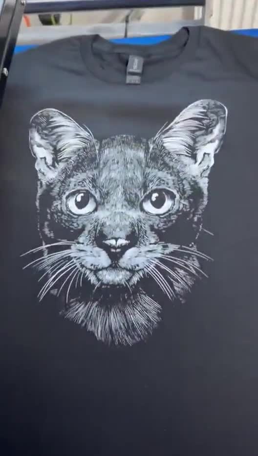 Disney Zootopia 2 Charaktere | Lustiger niedlicher Trend | Passendes Set | Unisex Tshirt Hoodie | Kinder T-Shirt Baby Strampler | Premium DTF Druck|Geschenk| NA144 video poster