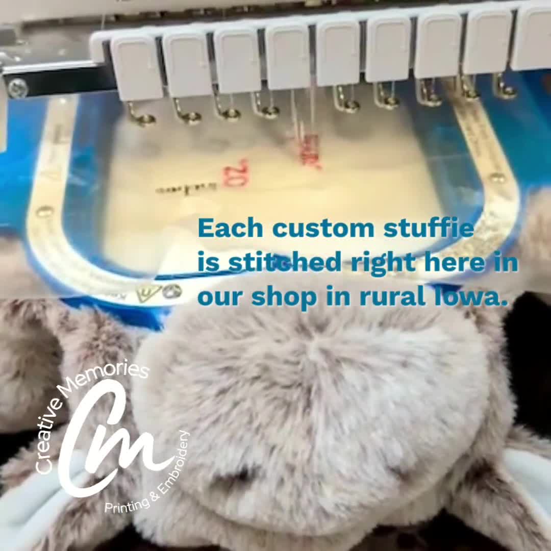 Oso ángel bordado, peluche personalizado con estadísticas de nacimiento de bebé video poster