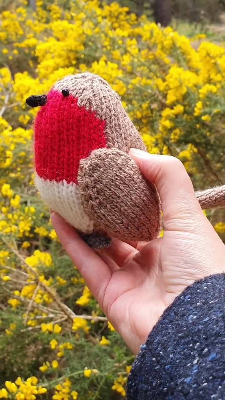 Albert the Robin knitting pattern - easy knit for beginners