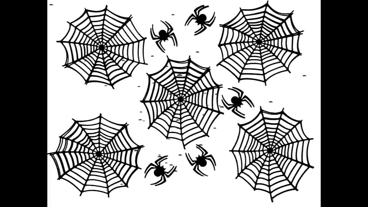 Spiders Black 14