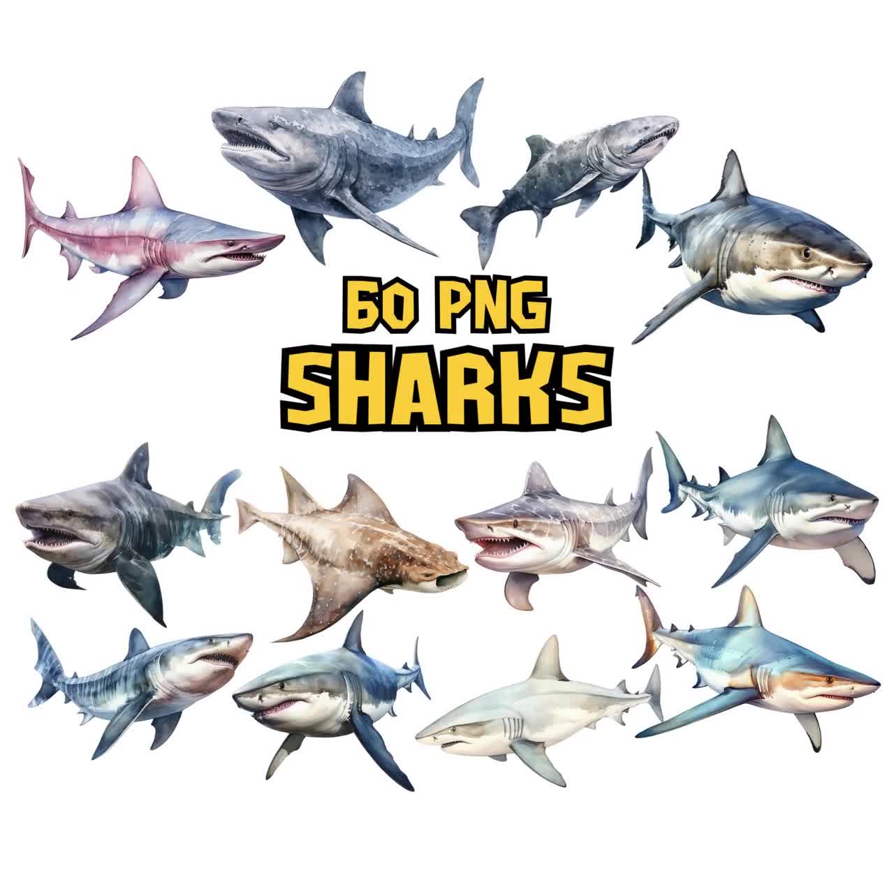sharks_video_qjkvyp.jpg