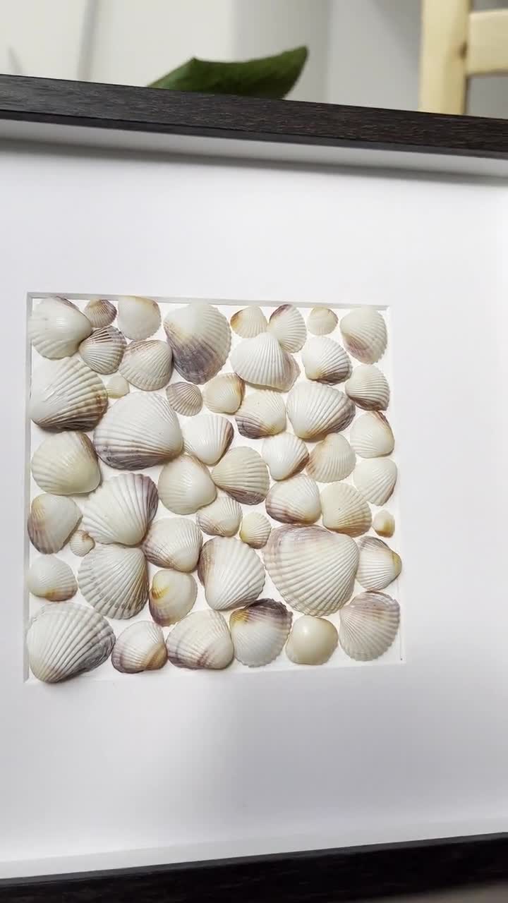 Small Poem Seashell Dish - Glass Arts Collective
