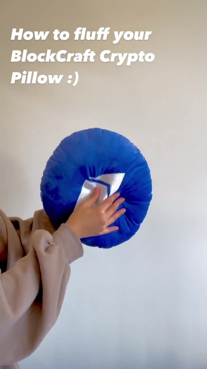 Stellar Lumens Crypto Pillow - Round Embroidered XLM Plush Pillow By BlockCraft.Shop