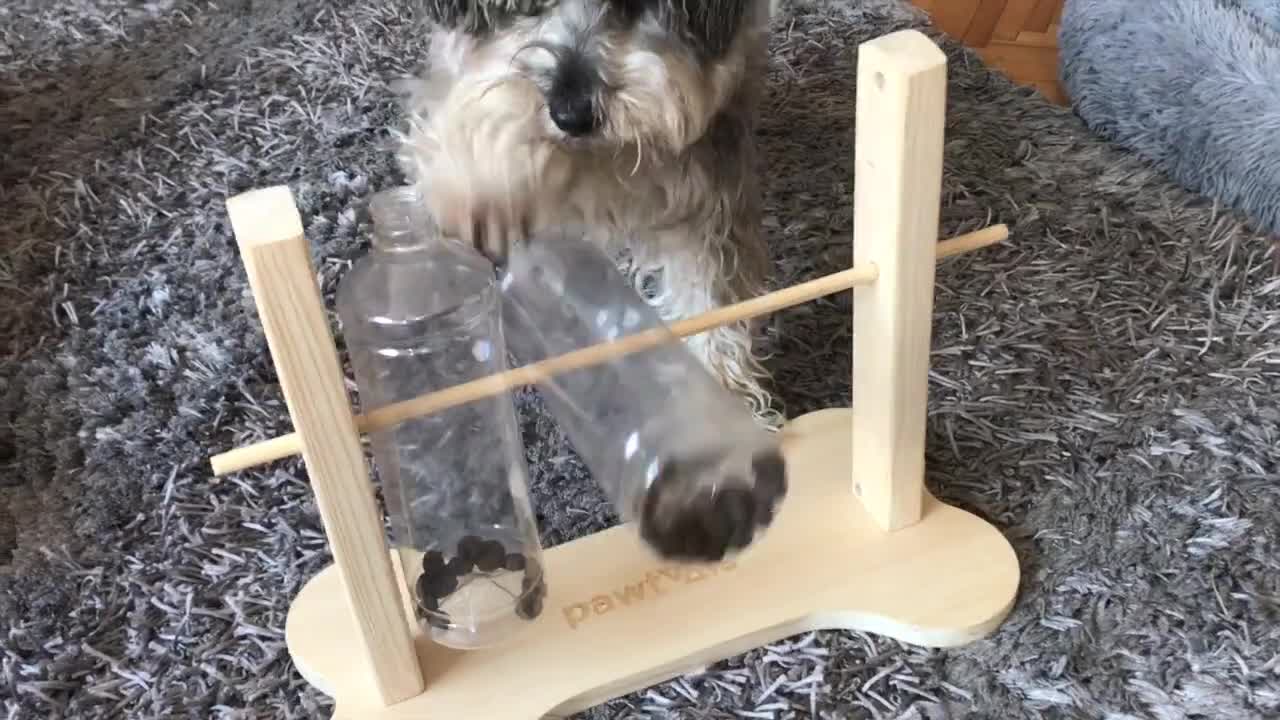 How to Make A Spinning Bottle Puzzle Feeder For Dogs