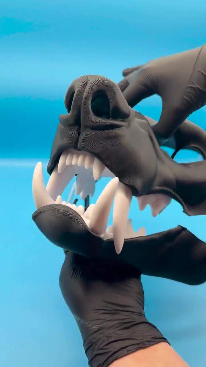 Snarl Hyena Fursuit Base and Jaw Set Realistic 3D Printed Moving