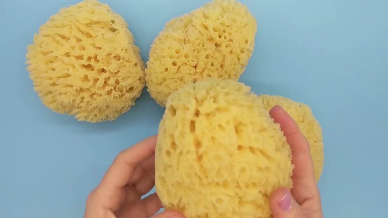 Sea Sponge 56sponges-natural Sponge-bath Sponge-soap Making Embeds