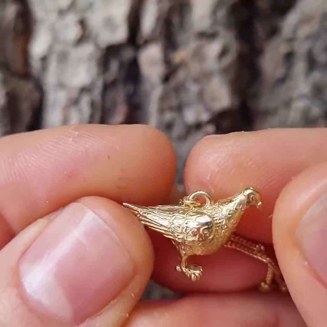 Collana Piccione In Acciaio Inox Con Placcatura Oro 18K – Ciondolo Uccello Per Donne E Bambine (Confezione Regalo DALANE)