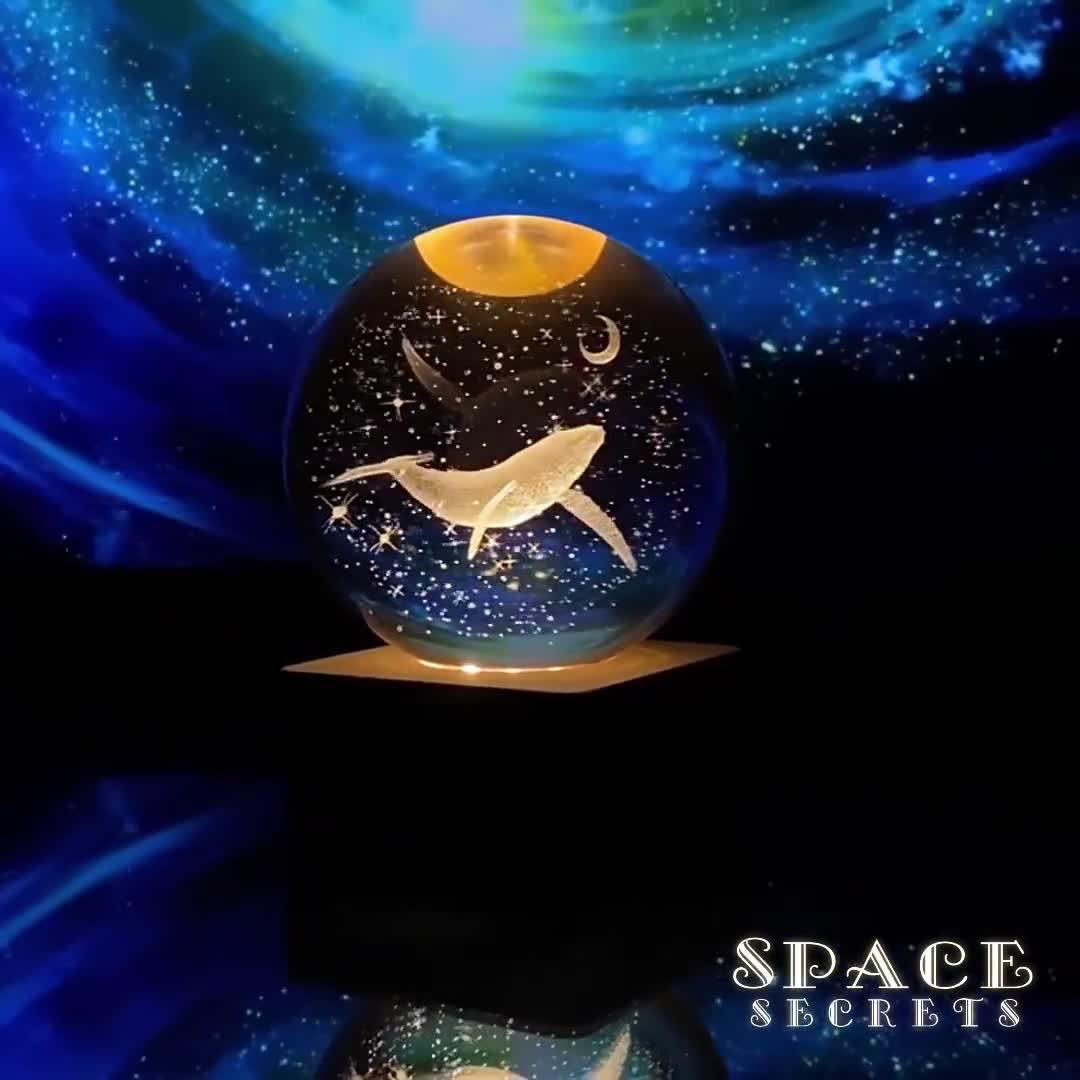 Buy Dolphin in Space Crystal Globe Lamp, Ocean Night Light, Plug in Desk  Lamp With Galaxy, Moon, Whale, Planet, Colourful LED Ambient Lighting  Online in India 