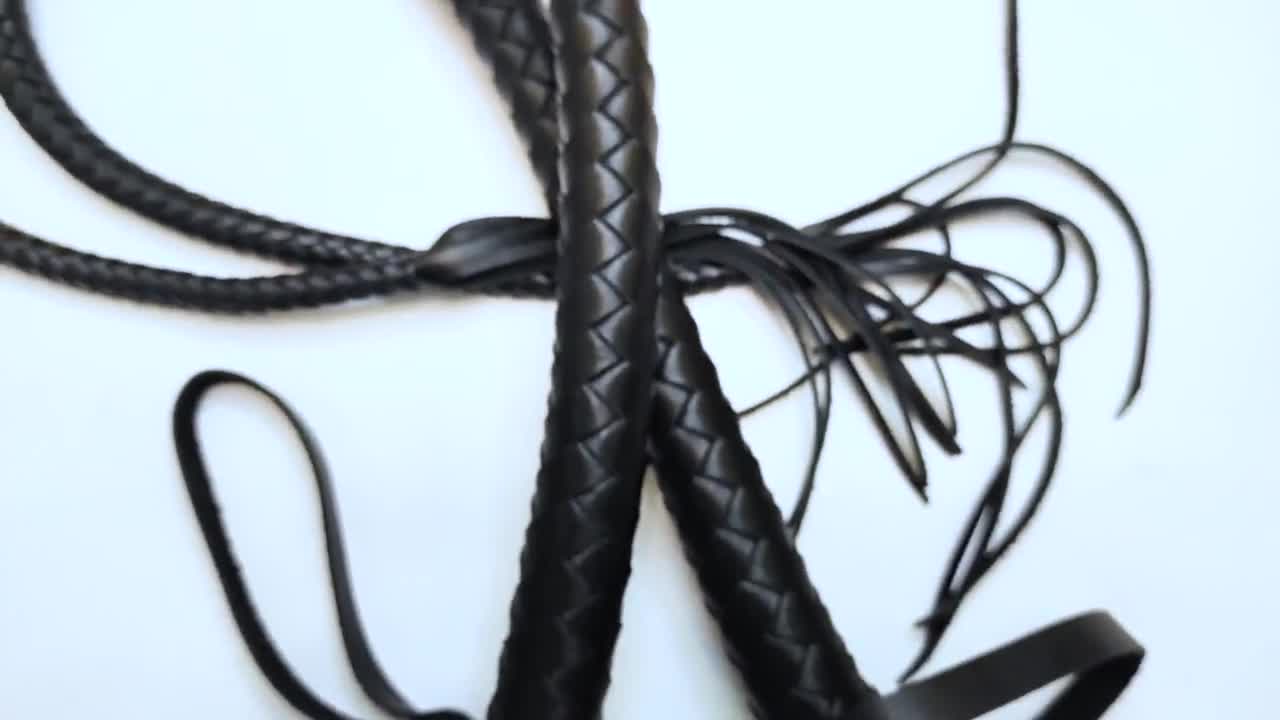 Shibari: The step by step guide on all you need to know about the  passionate rope bondage (Shibari/Japanese bondage) for intima (Paperback)