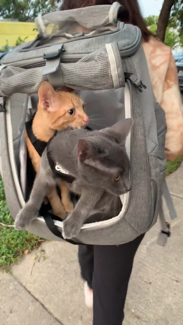 NAVIVERSE☆Dot Cat Bag The Navigator Convertible Cat Backpack - Pet Bag Outing