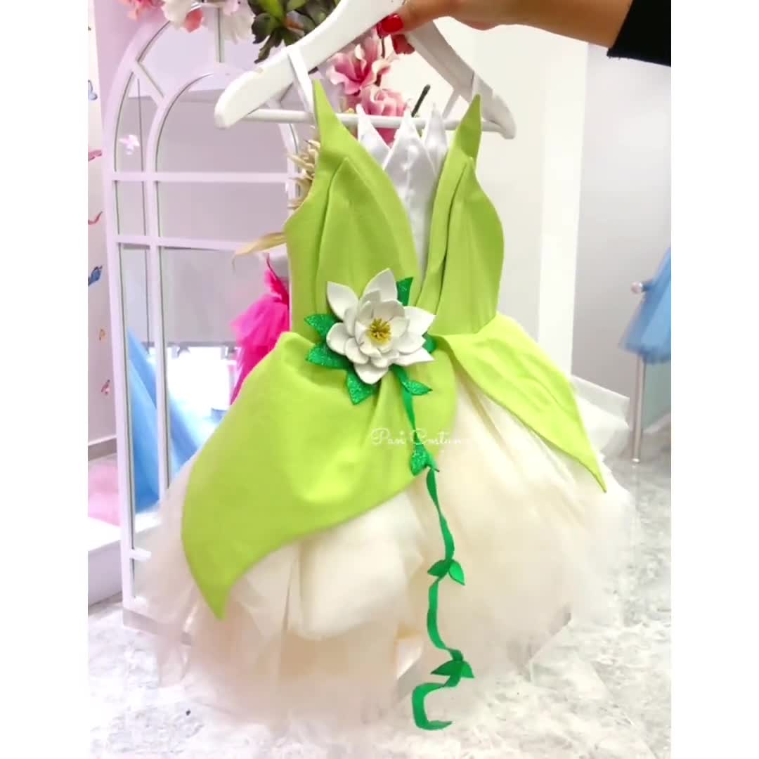 Disfraz de princesa Tiana, vestido de princesa Tiana y el sapo inspirado en  Disney