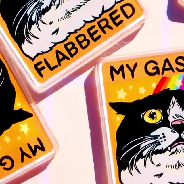 Imán de gato divertido, regalo sarcástico motivacional para ella, regalo de humor para él, imán de nevera divertido, decoración de broma de papá desquiciado, peculiar, tonto, extraño video poster