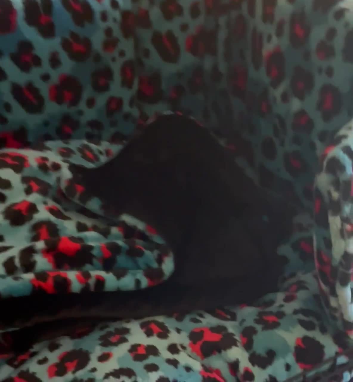 Juego de ropa de cama para jaula de perro, protector de colchón de forro polar, protector y manta. video poster
