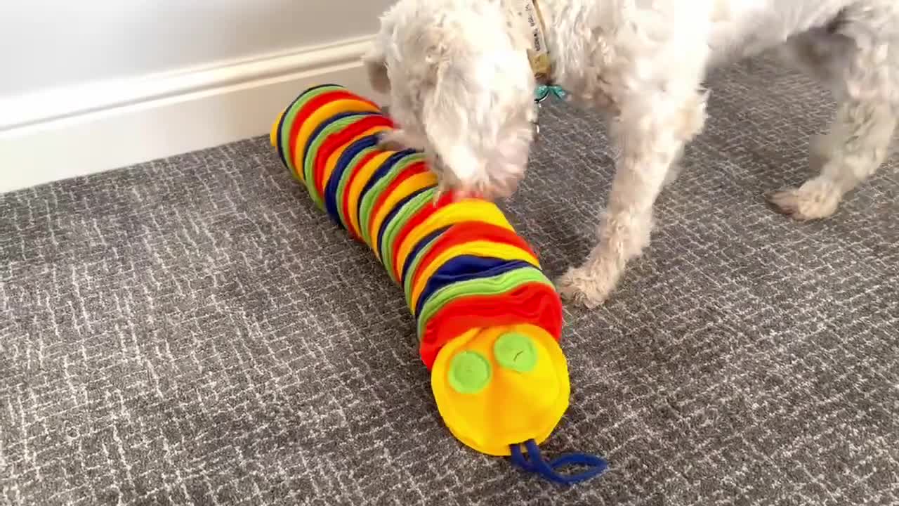 Large Snuffle Snake Interactive Dog Puzzle Long Lasting Treat Finding  Activity for Medium-large Dogs & Puppies Dog Gift Ideas 