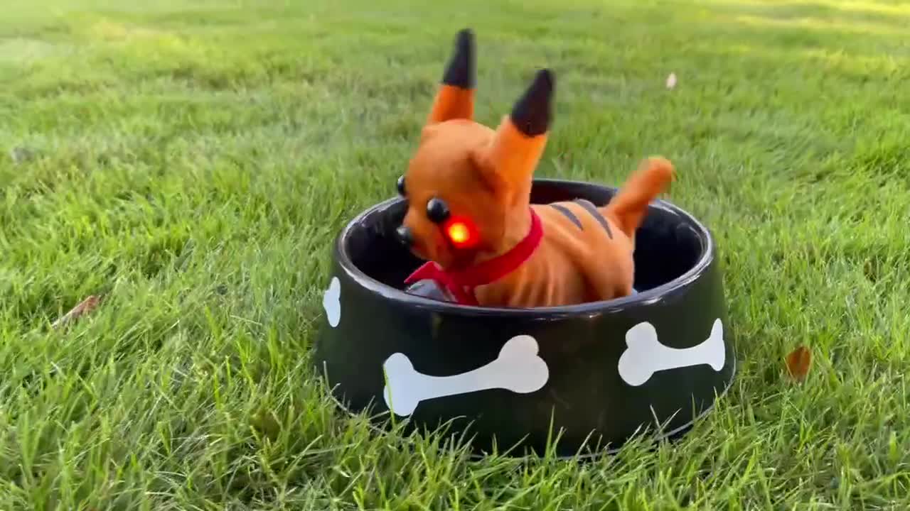 Pikachu clearance dog toy