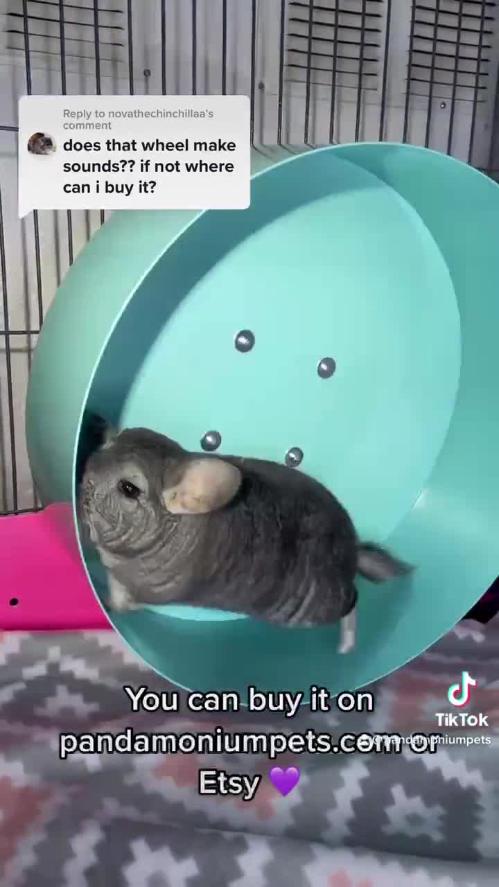 how to get the spin wheel on star pets｜TikTok Search