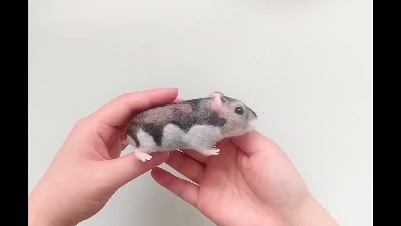 Russian Dwarf Hamsters Make Great Pets - Earth's Friends