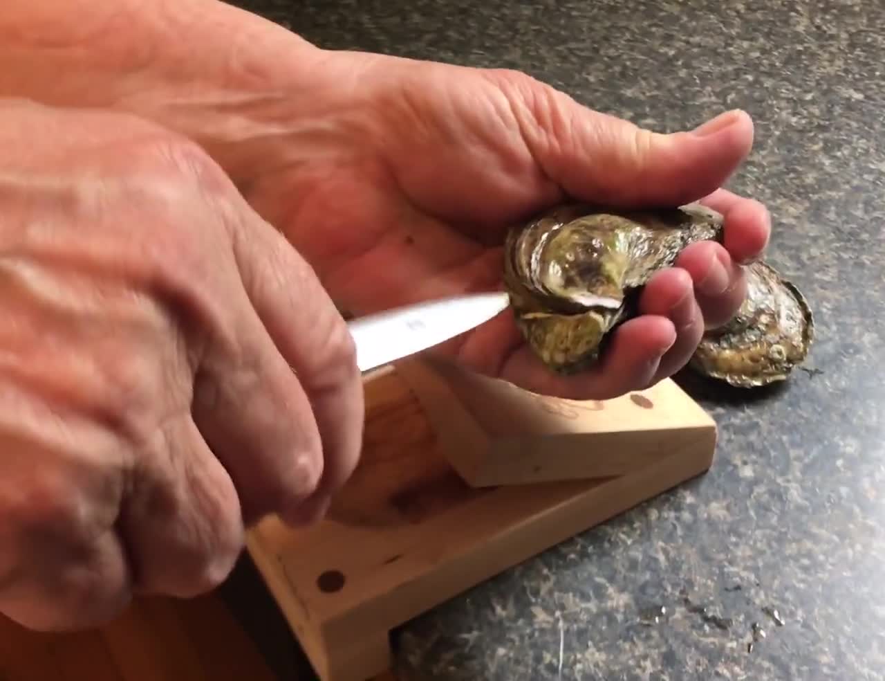 Oyster Shucking Clamp - Hugabouty