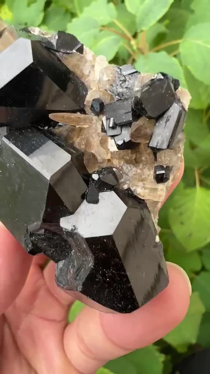 2.9インチ ショール トルマリン & クォーツ - エロンゴ ナミビア