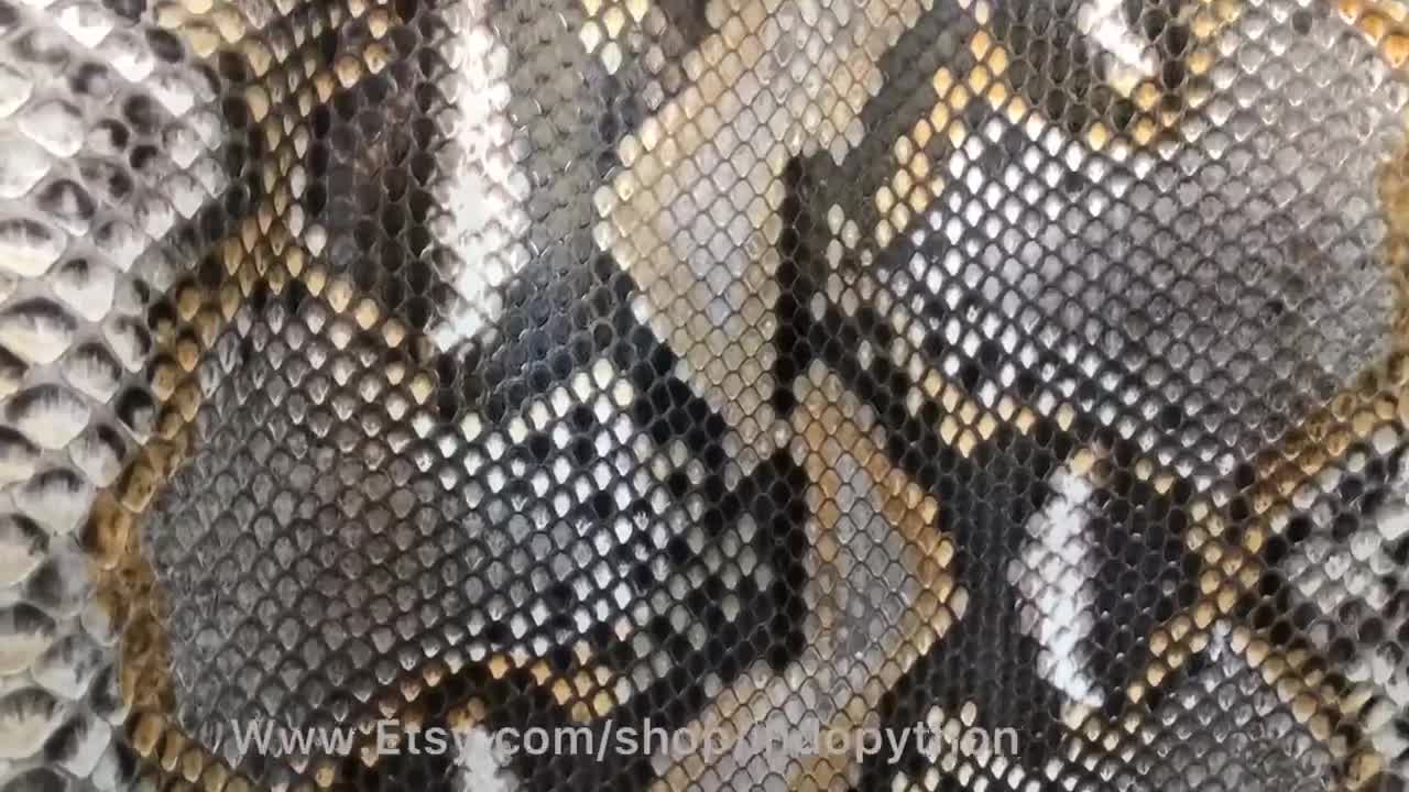Guantes piel serpiente color gris Guantes piel mujer Guantes pitón  auténtico -  España
