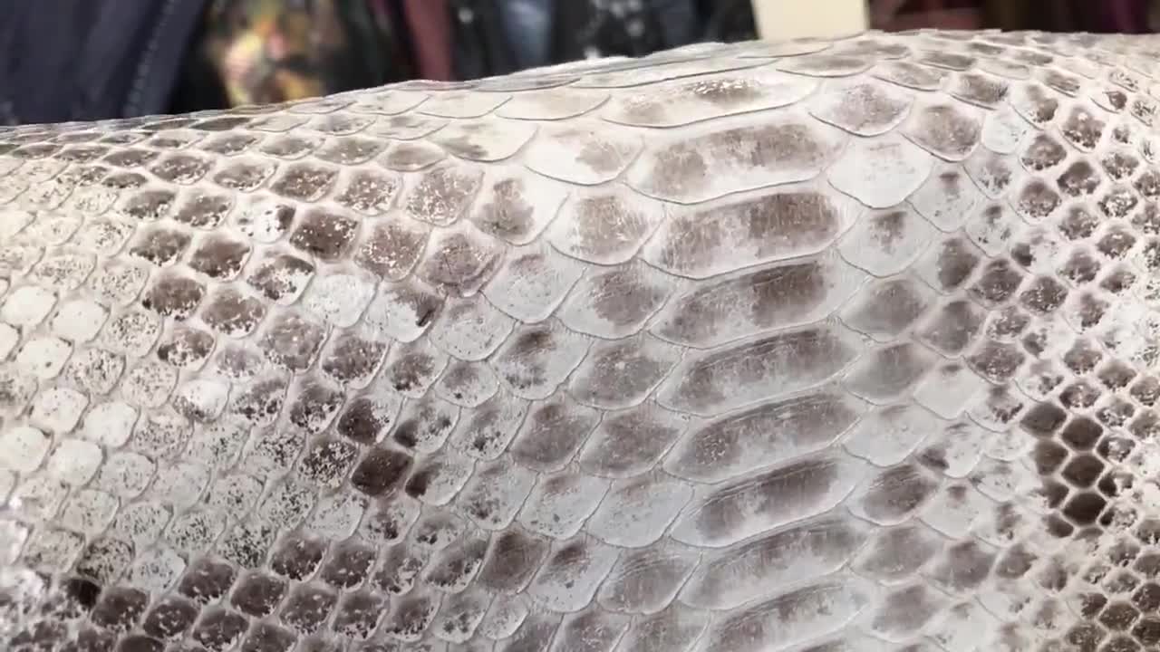楽天市場】python skin genuineの通販