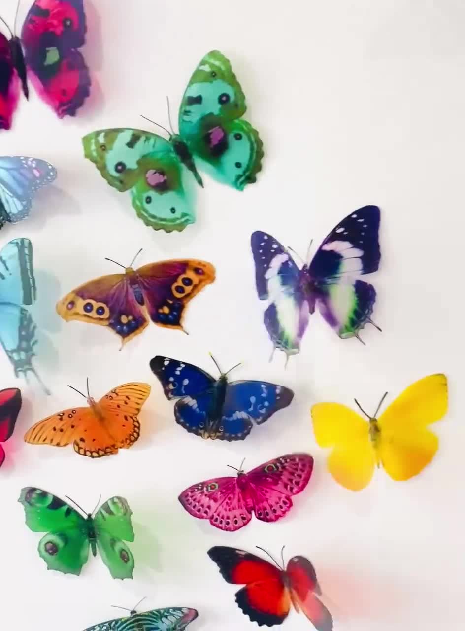 Butterflies Lovers, beautiful colorful butterflies 🦋🦋🦋, Facebook