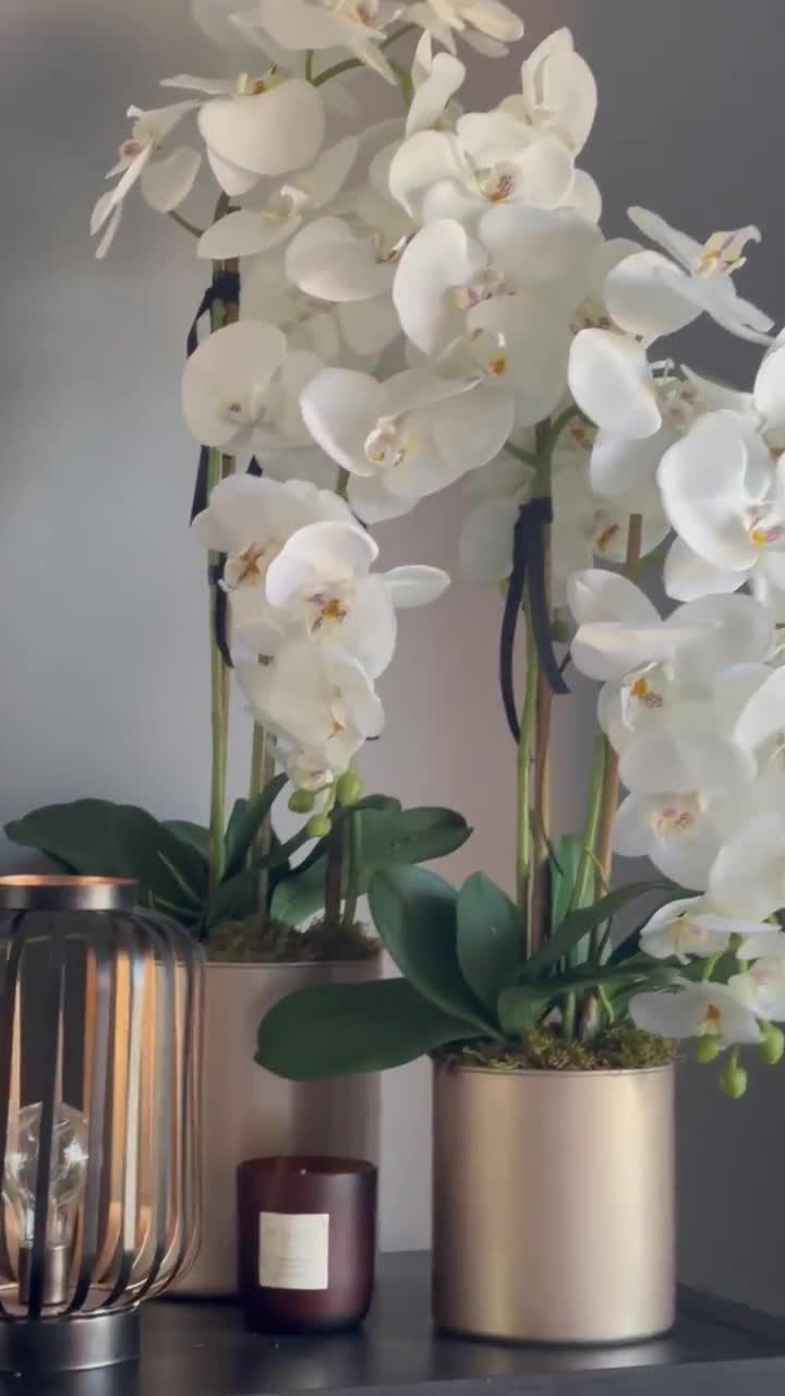 SET DI DUE composizioni di orchidee artificiali in vasi di vetro.