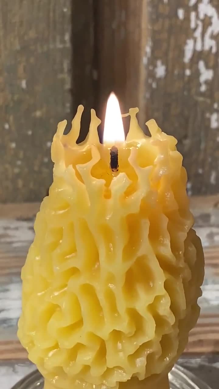 Beeswax mushroom candles – Hardwood Honey