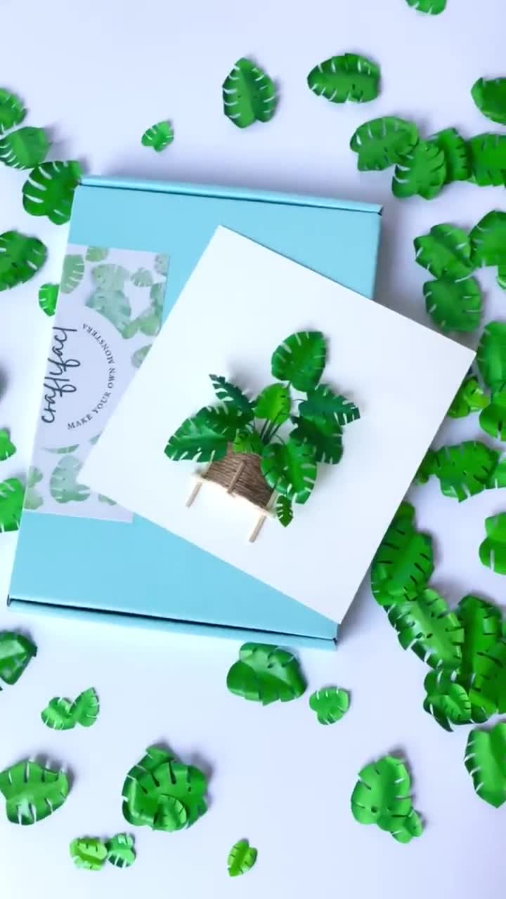 Paper Monstera Plant DIY Kit – Lovepop
