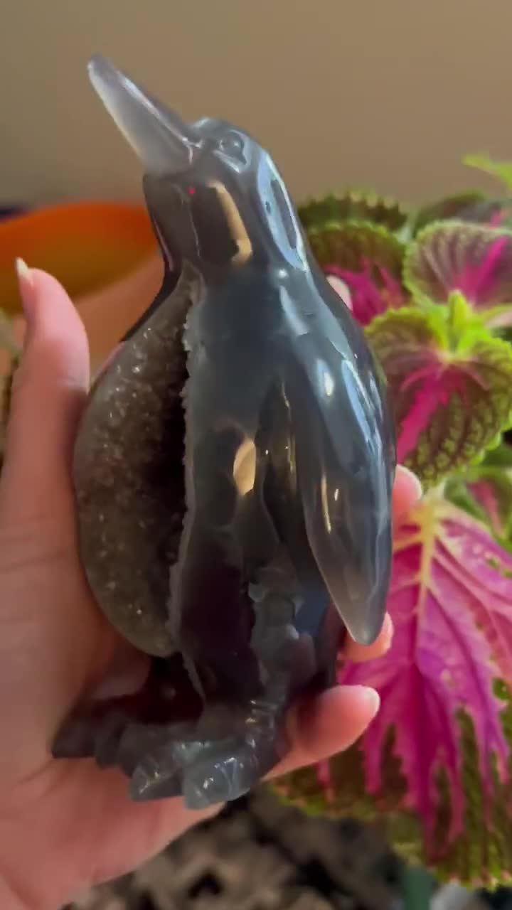 Druzy Agate Penguin Animal cheapest Carving - Authentic Agate Crystal